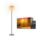 Govee Lantern Floor Lamp