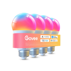 Govee A19 Smart LED Light Bulbs E26 1000lm